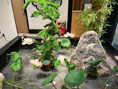 -俏牛哥鲜牛肉牛肆馆(重庆天地店)