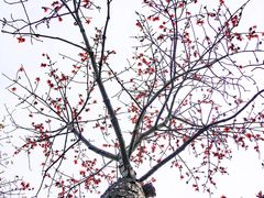 -晓港公园