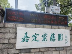 -嘉定紫藤园