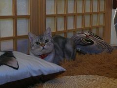 -小时光咖啡馆(开森度假森林店)