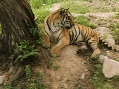 -西安秦岭野生动物园