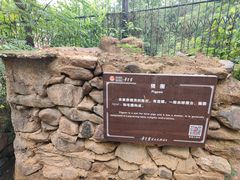 -黄金寨原生态旅游区