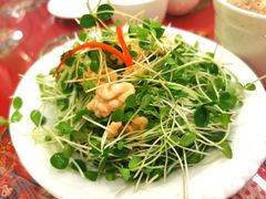 鲜桃仁豌豆苗-玉华台饭庄(裕中西里小区店)
