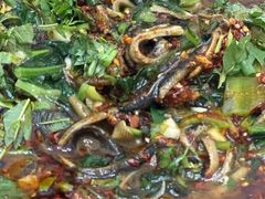 -乐山第一家临江鳝丝(茶坊路店)