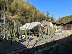 -MOJ coffee(瓯海泽雅水碓坑店)