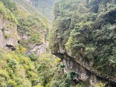 -鹿院坪生态旅游景区