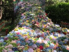 -共青国家森林公园-南大门停车场