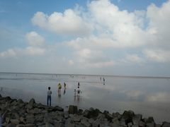 -南汇嘴观海公园