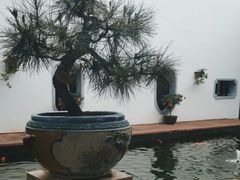 -东莞市可园博物馆