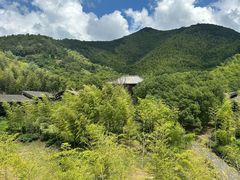 -大唐贡茶院