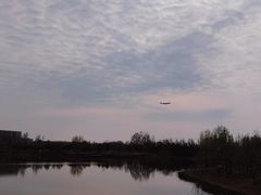-东郊湿地公园
