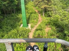 -磬锤峰森林公园