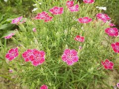 -瀛海足球主题公园