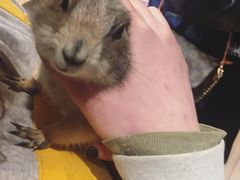 -藦茜花园宠物主题亲子互动体验馆(国顺东路店)