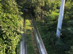 -富斯特索道