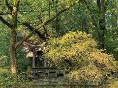 -缙云山景区
