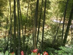 -浙北大峡谷