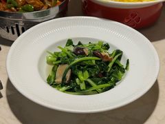 -雨后行菜(报慈北路店)