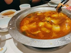 -古乐牛香鲜牛肉牛杂火锅(观前街店)