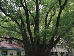 -徐家汇源景区-衡山公园