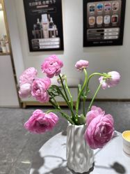 -MIDA蜜哒•科技逆龄美肤连锁