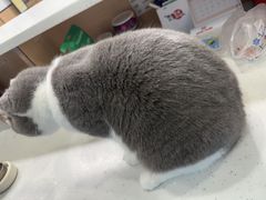 -贝利宠物医院·骨科·眼科·肿瘤转诊中心(南坪诊疗中心)
