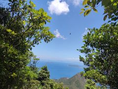 -鹿嘴山庄