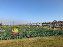 -迪茵湖田家舍生态农场