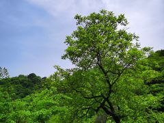 -抱龙峪