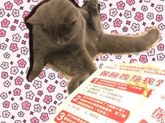 -联合动物医院(光谷诊疗中心)