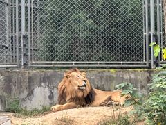 -石家庄市动物园