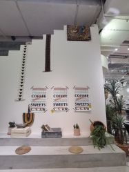 -好看加白色房子