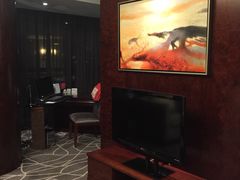 -常州环球恐龙城维景国际大酒店