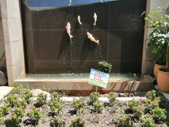 -大碗厨 25年老字号 现炒湘菜(四季天地店)