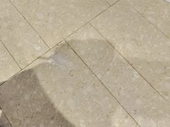 -SEA西雅图海鲜自助餐厅(海乐世界店)