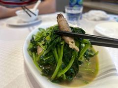 -双井轩(双井店)
