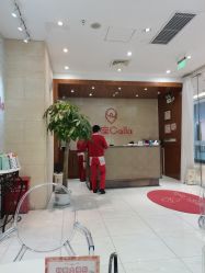 -银座Calla日式美容沙龙