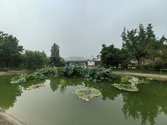 -国家植物园南园