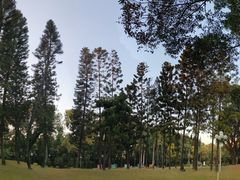 -人民公园(罗湖区)