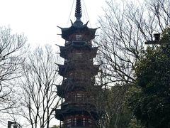 -上海佘山国家森林公园西佘山园