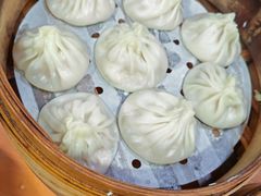 -莱莱小笼·乔艾
