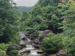 -桃花岭景区