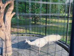 -养云安缦吧THE BAR