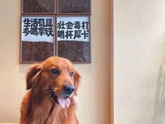 -seeu coffee(江滩店)