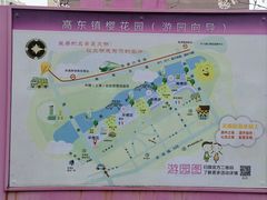 -高东镇樱花园