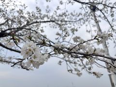 -幕燕滨江·燕子矶公园