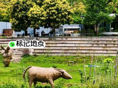 -风云岭森林公园