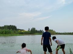 -东郊湿地公园