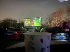 -枫花园汽车电影院(朝阳公园店)