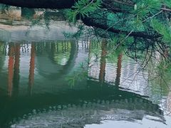 -水绘园